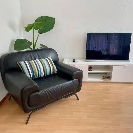 Alscher's Интерлакен