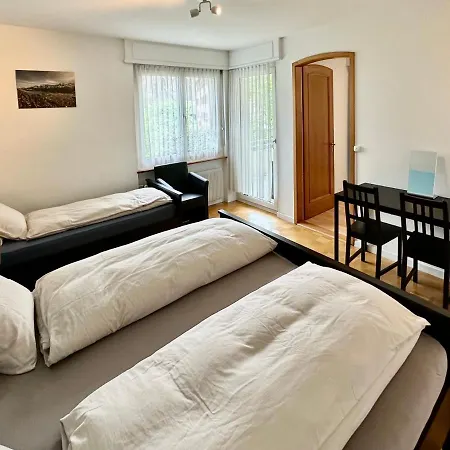 Alscher's * Интерлакен