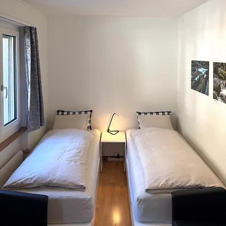 Alscher's Apartment Interlaken
