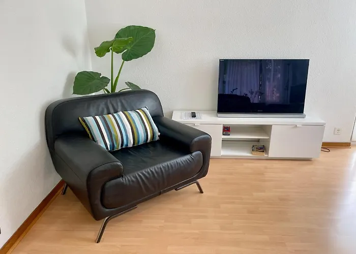 Alscher's Interlaken