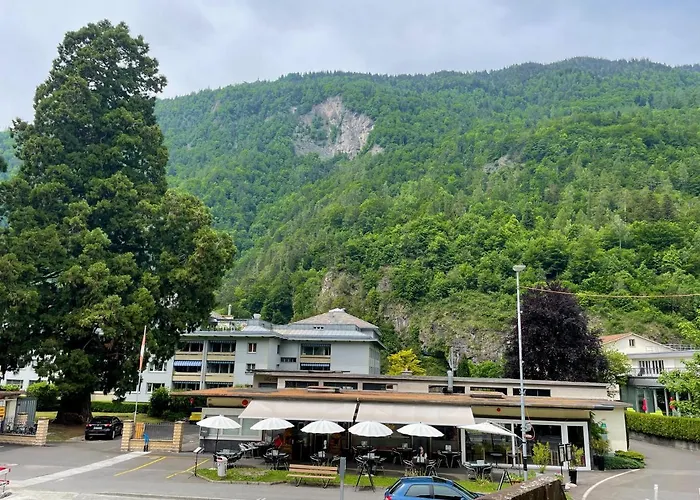 Alscher's * Interlaken