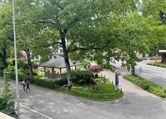 Alscher's 因特拉肯