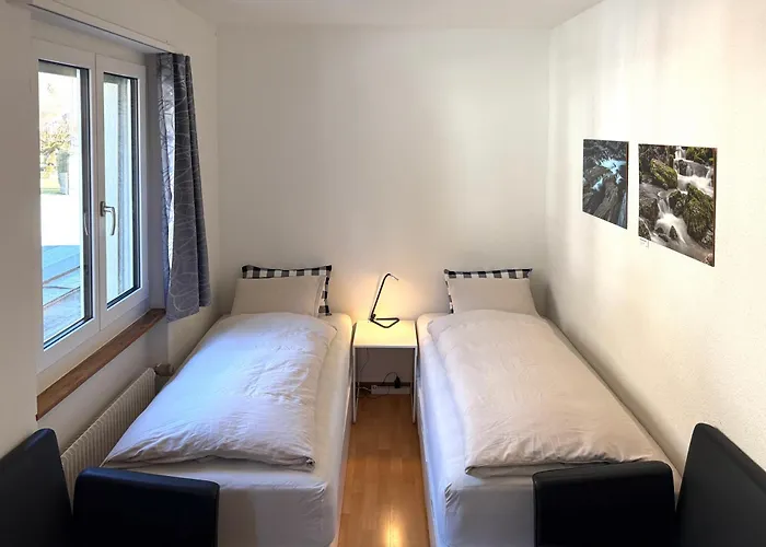 Alscher's Apartment Interlaken