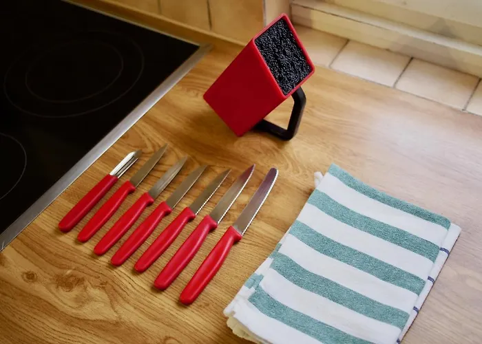 Alscher's Appartamento Interlaken