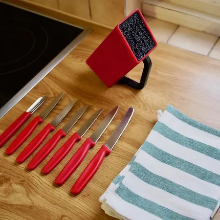 Alscher's Apartment Interlaken